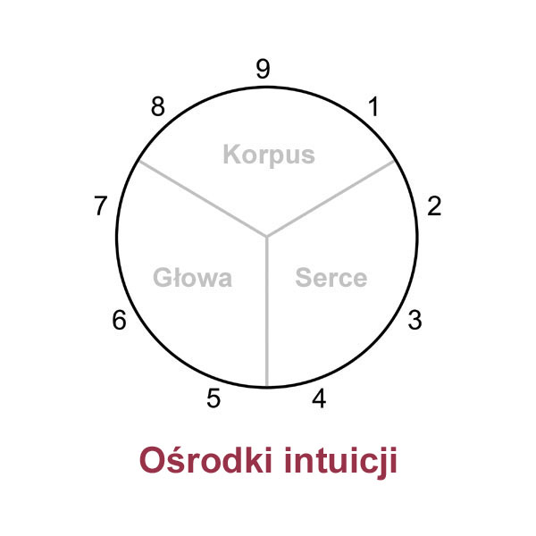 Ośrodki intuicji